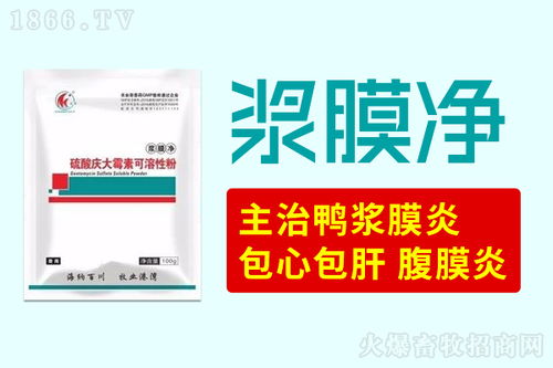 鴨漿膜炎之痛與治愈之道——以科學(xué)防治化解養(yǎng)殖難題